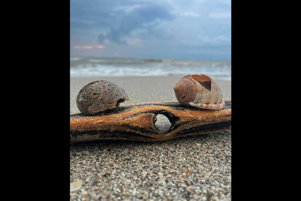 Cocoa, Beach House Екстер'єр фото